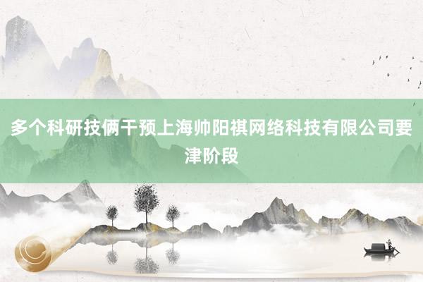 多个科研技俩干预上海帅阳祺网络科技有限公司要津阶段