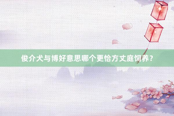 俊介犬与博好意思哪个更恰方丈庭饲养？