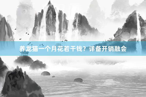 养龙猫一个月花若干钱？详备开销融会